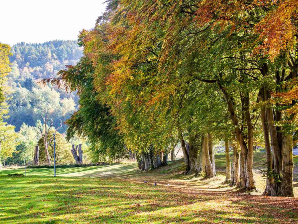 RGU campus in the autumn RGU campus in the autumn