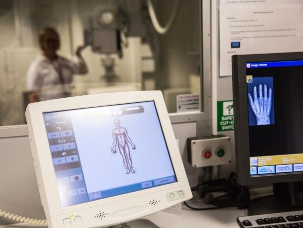 computer screen with anatomical figures and scans