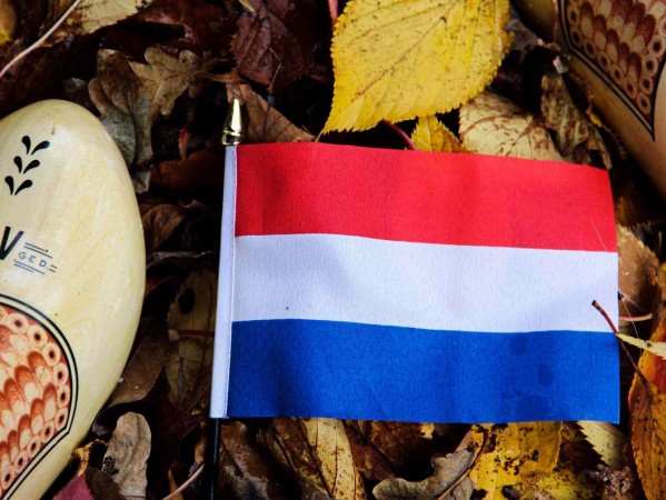 netherlands flag next to a clog netherlands flag next to a clog